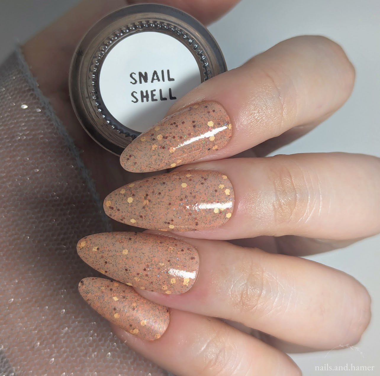 Snail Shell