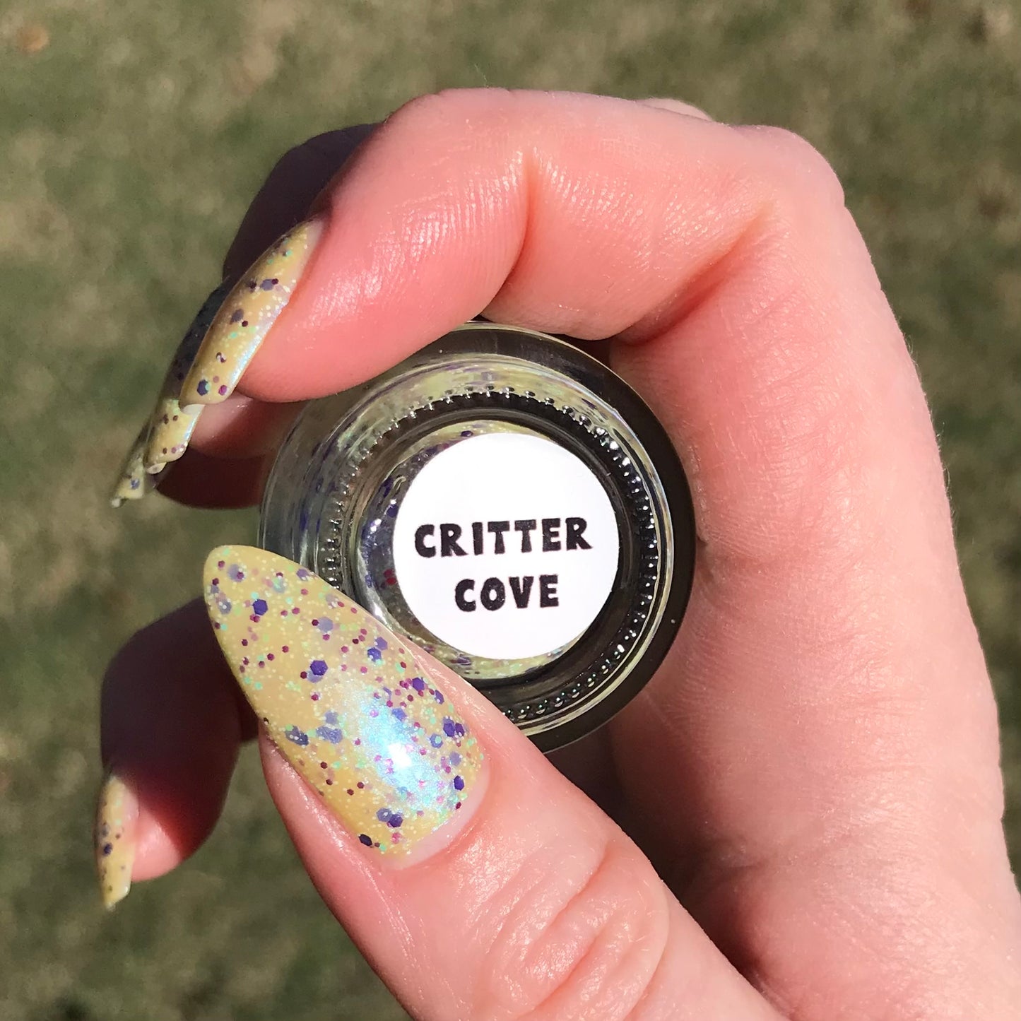 Critter Cove