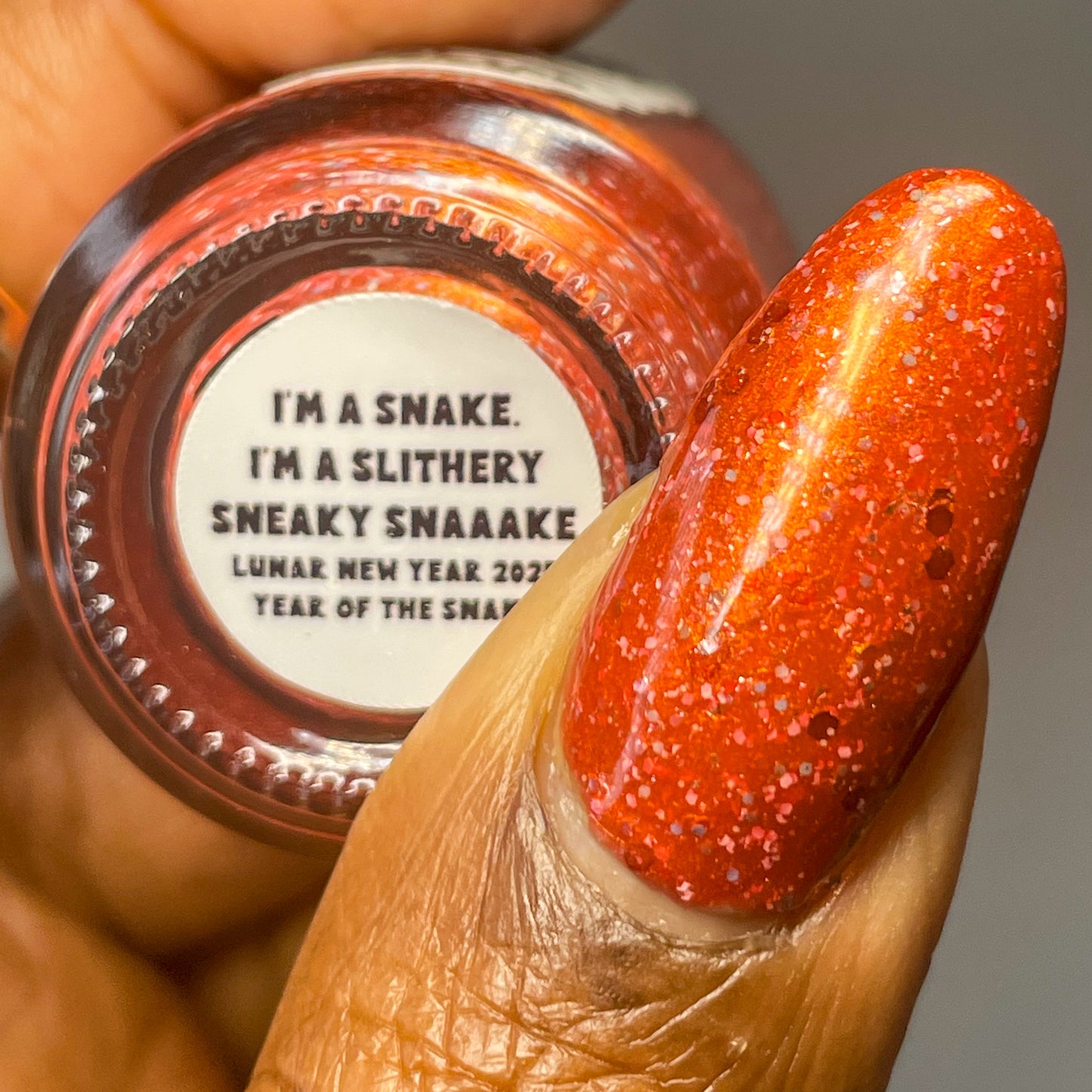 I’m A Snake. I’m A Slithery Sneaky Snaaake!