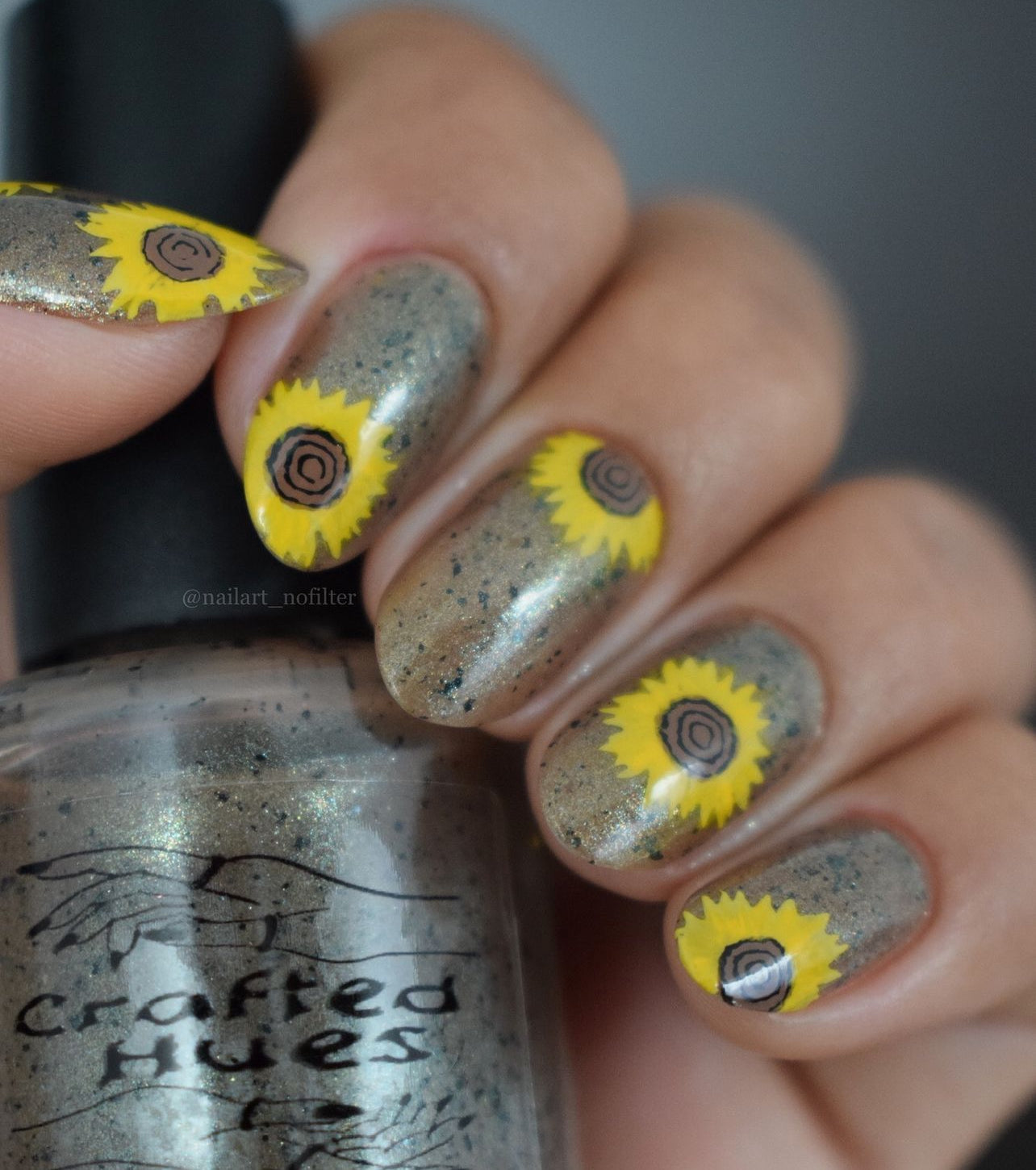Helianthus Coronam