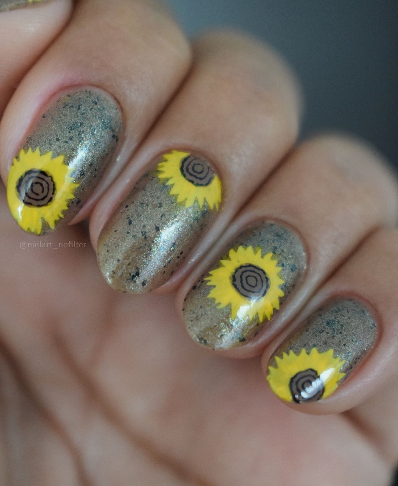 Helianthus Coronam